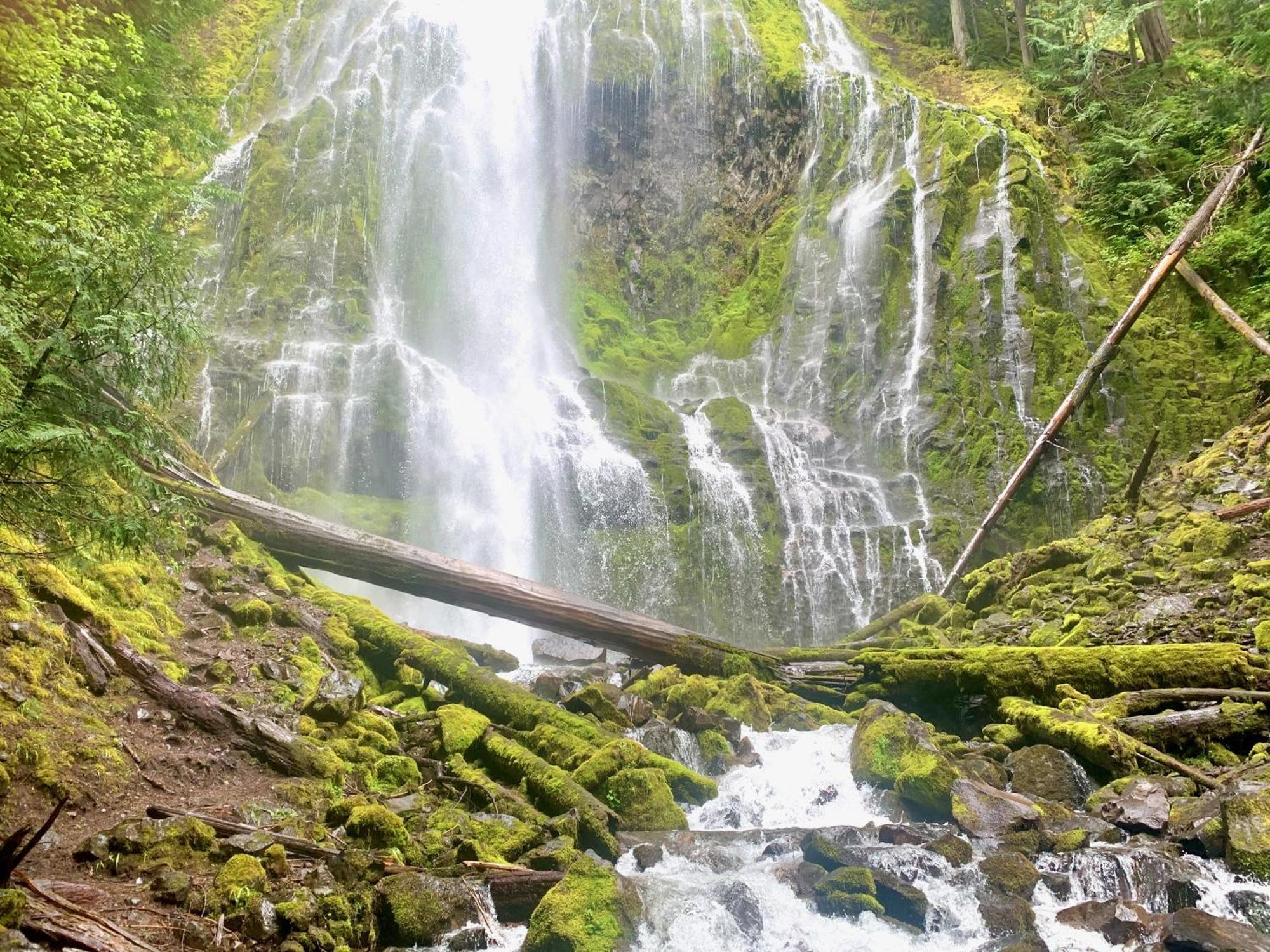 Mckenzie River Mountain Resort Blue River Exterior photo